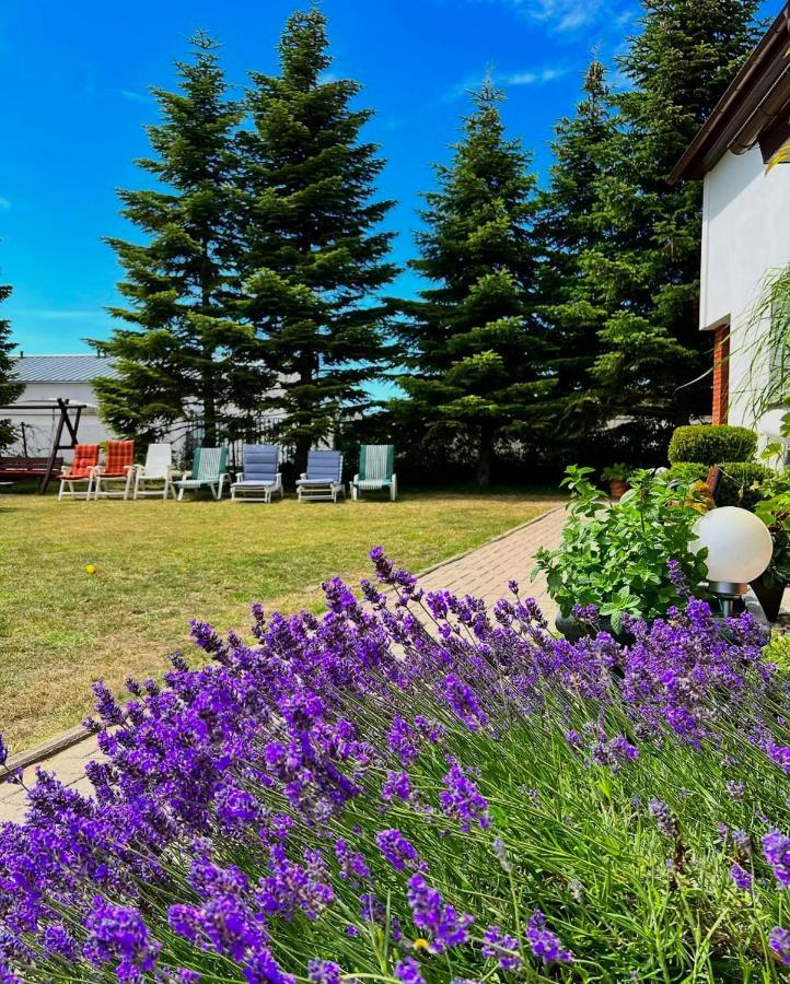 Apartamenty Ostoja Leba Bagian luar foto